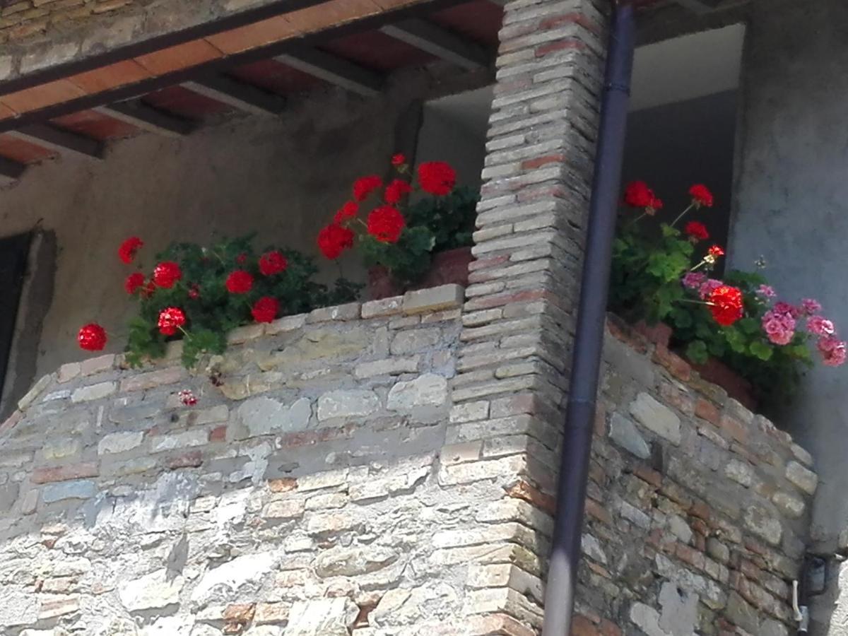 Villa Fattoria Di Rigone à Coltavolino Extérieur photo