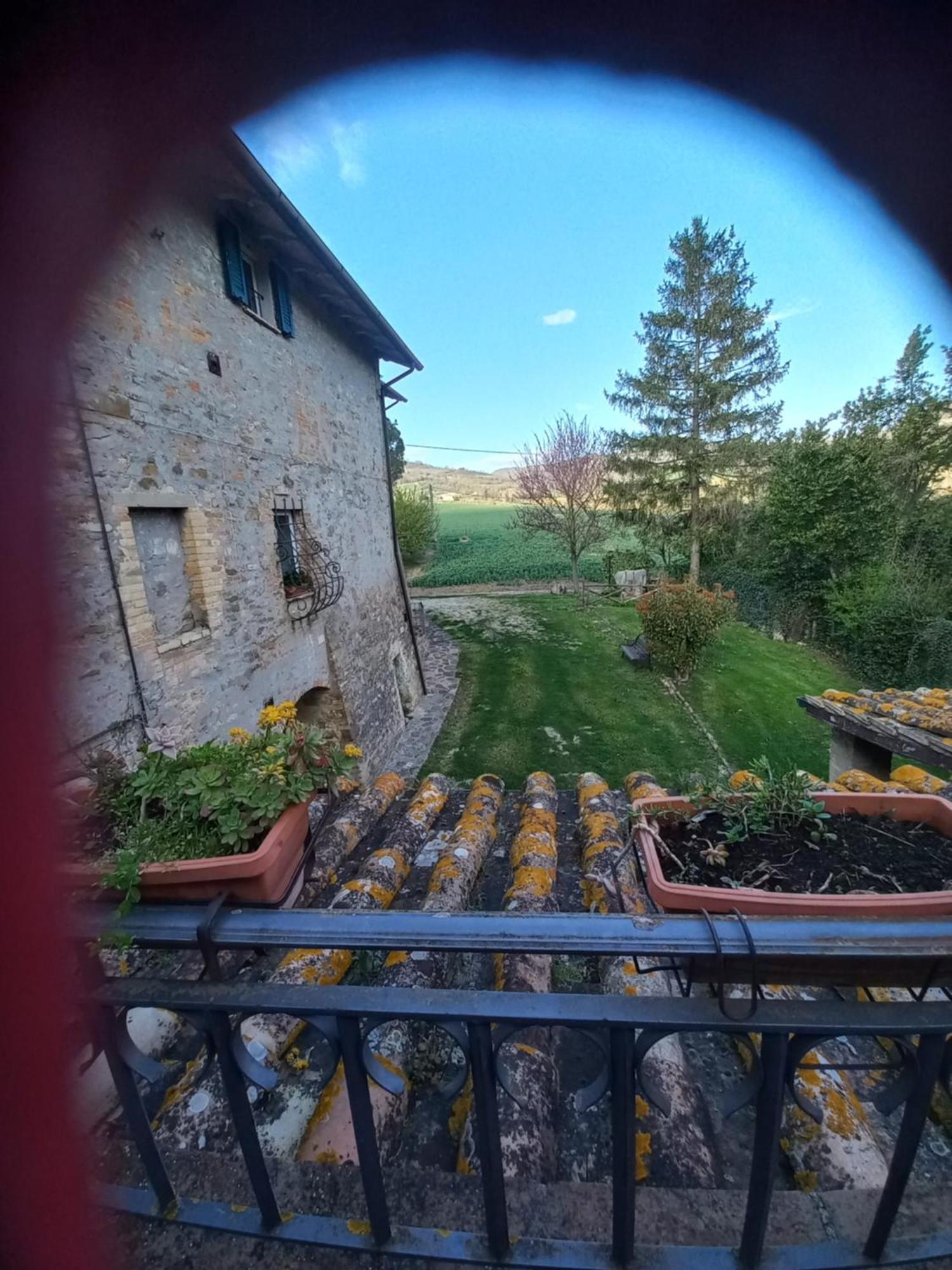 Villa Fattoria Di Rigone à Coltavolino Extérieur photo