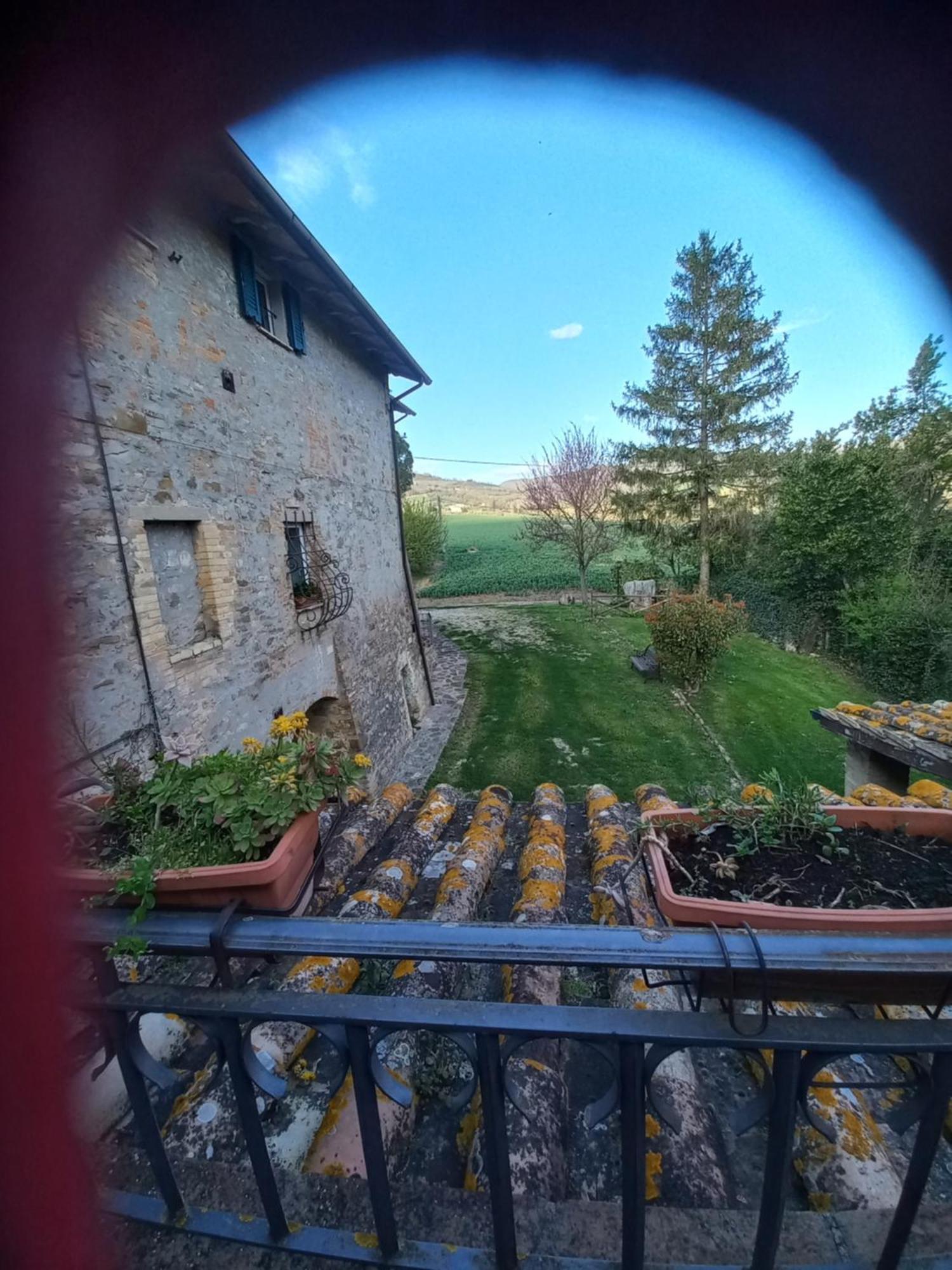 Villa Fattoria Di Rigone à Coltavolino Extérieur photo
