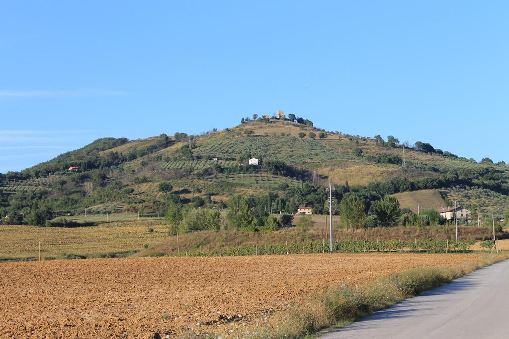Villa Fattoria Di Rigone à Coltavolino Chambre photo