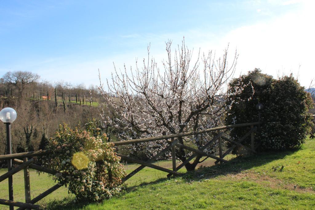 Villa Fattoria Di Rigone à Coltavolino Extérieur photo
