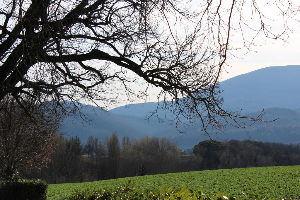 Villa Fattoria Di Rigone à Coltavolino Extérieur photo