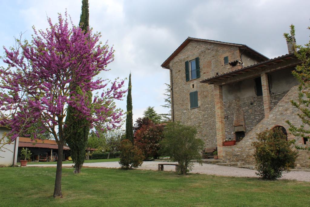 Villa Fattoria Di Rigone à Coltavolino Extérieur photo